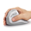 Picture of Wireless Mouse 2,4GHz/BT UGREEN MU008 45759 White